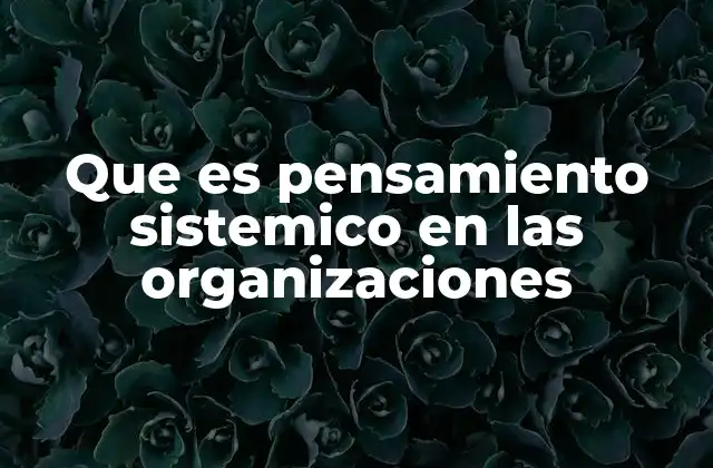Que es Pensamiento Sistemico en las Organizaciones