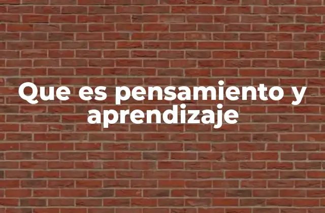 Que es Pensamiento y Aprendizaje