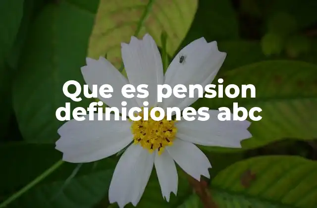 Que es Pension Definiciones Abc