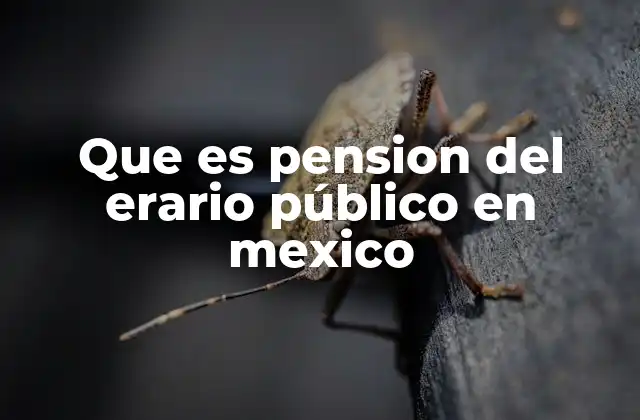 Que es Pension Del Erario Público en Mexico