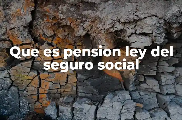 Que es Pension Ley Del Seguro Social