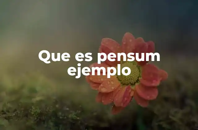Que es Pensum Ejemplo