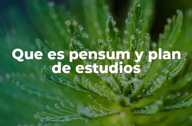 Que es Pensum y Plan de Estudios