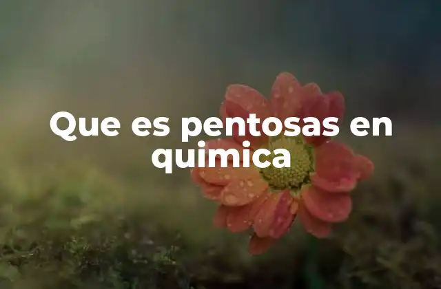 Estructura molecular de las pentosas