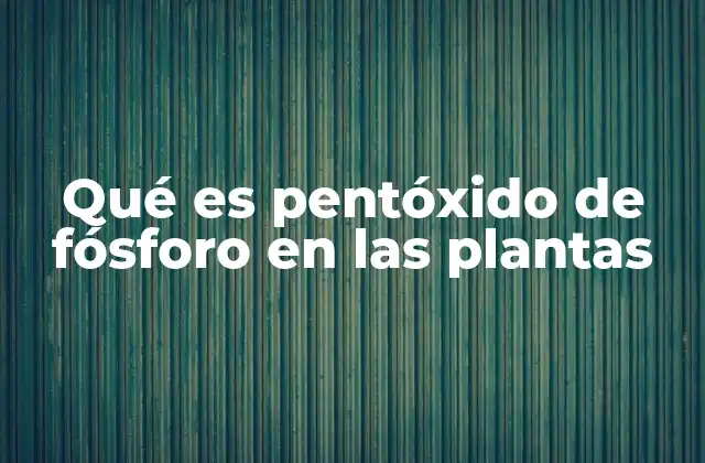 Qué es Pentóxido de Fósforo en las Plantas 2 El papel del fósforo en la nutrición vegetal