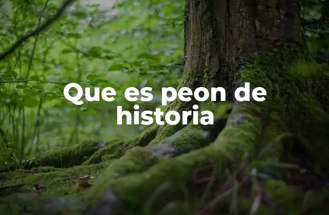 Que es Peon de Historia