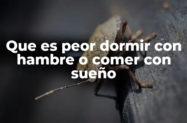 Que es Peor Dormir con Hambre o Comer con Sueño