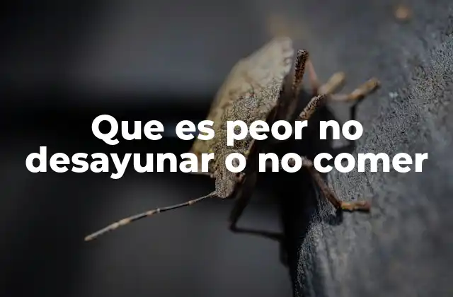 Que es Peor No Desayunar o No Comer