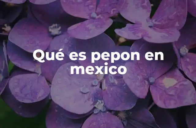 Qué es Pepon en Mexico