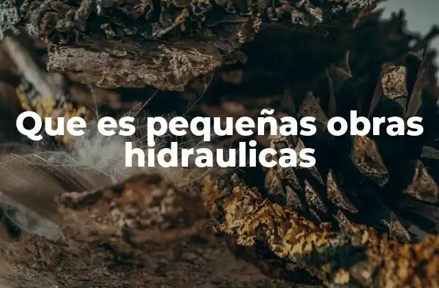 Que es Pequeñas Obras Hidraulicas 2 El papel de las pequeñas obras hidráulicas en el desarrollo rural