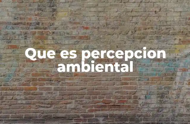 Que es Percepcion Ambiental