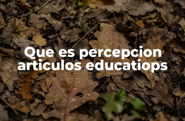 Que es Percepcion Articulos Educatiops 2 Cómo la percepción influye en el aprendizaje
