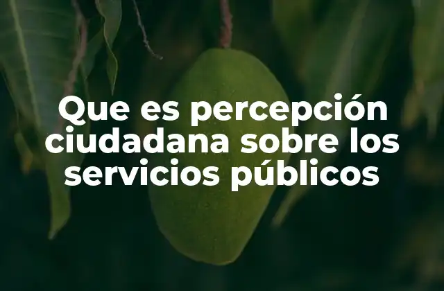 Que es Percepción Ciudadana sobre los Servicios Públicos