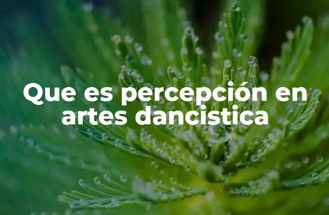 Que es Percepción en Artes Dancistica