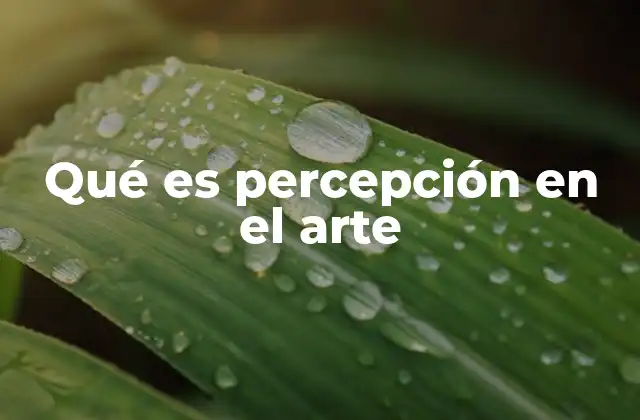 Qué es Percepción en el Arte
