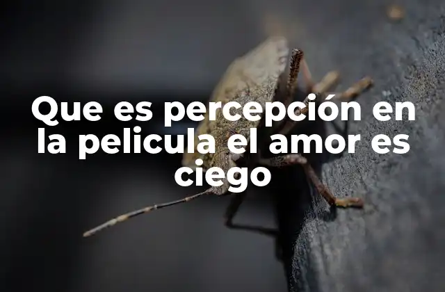 Que es Percepción en la Pelicula el Amor es Ciego