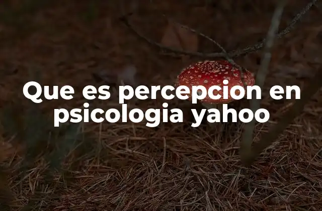 Que es Percepcion en Psicologia Yahoo