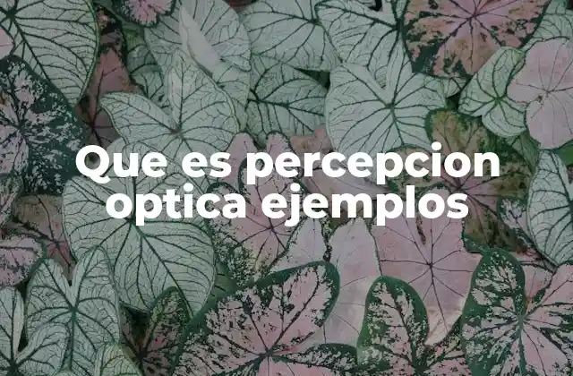 Que es Percepcion Optica Ejemplos