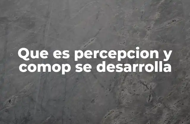 Cómo la percepción afecta nuestra interacción con el mundo