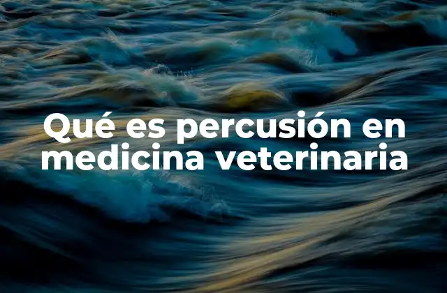 Qué es Percusión en Medicina Veterinaria