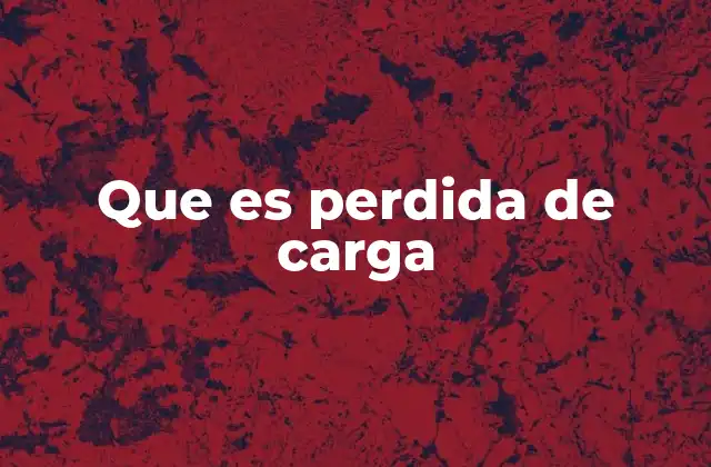 Que es Perdida de Carga