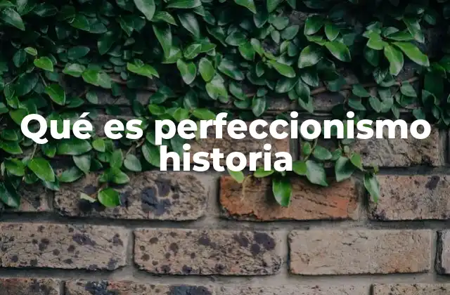 Qué es Perfeccionismo Historia