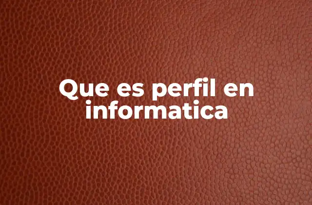Que es Perfil en Informatica