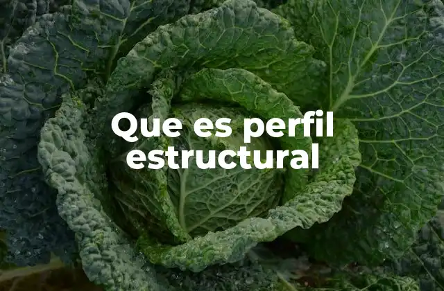 Que es Perfil Estructural