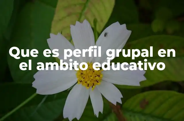 Que es Perfil Grupal en el Ambito Educativo