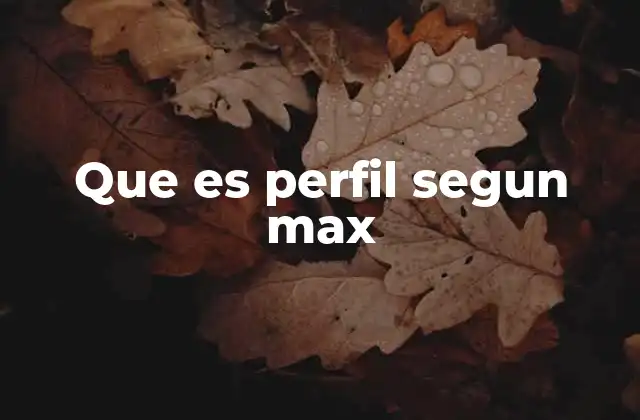 Que es Perfil Segun Max
