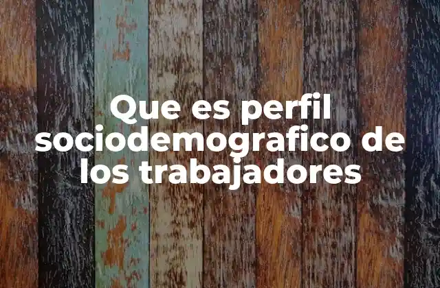 Características comunes en el perfil sociodemográfico de los trabajadores