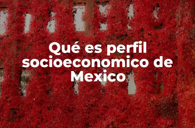 Qué es Perfil Socioeconomico de Mexico