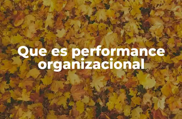Que es Performance Organizacional