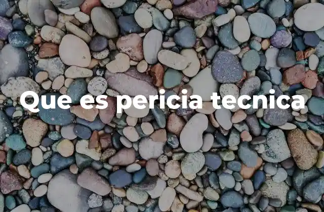 Que es Pericia Tecnica