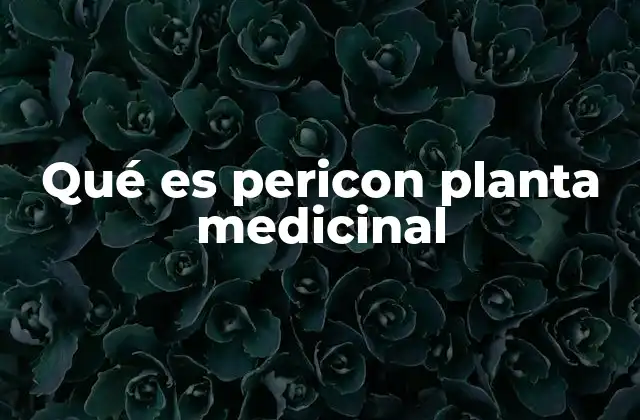 Qué es Pericon Planta Medicinal