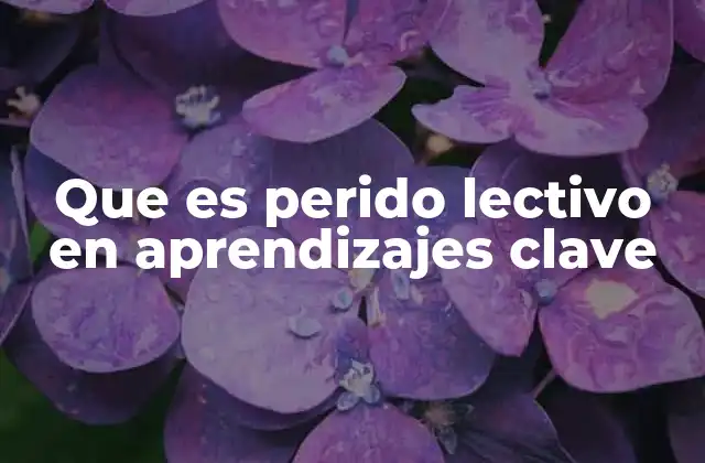 Que es Perido Lectivo en Aprendizajes Clave