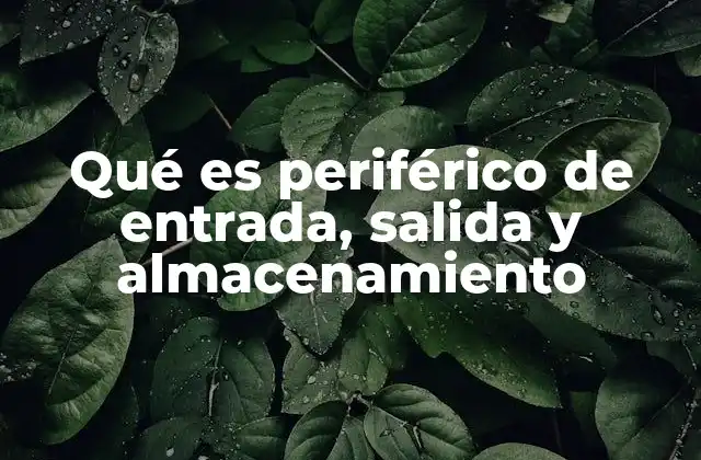 Qué es Periférico de Entrada, Salida y Almacenamiento