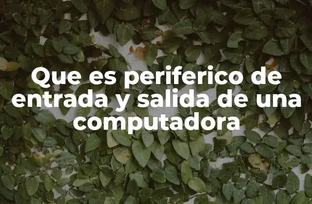 Que es Periferico de Entrada y Salida de una Computadora