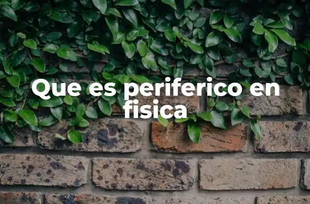 Que es Periferico en Fisica