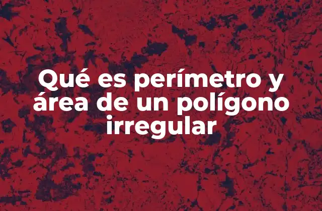 Qué es Perímetro y Área de un Polígono Irregular