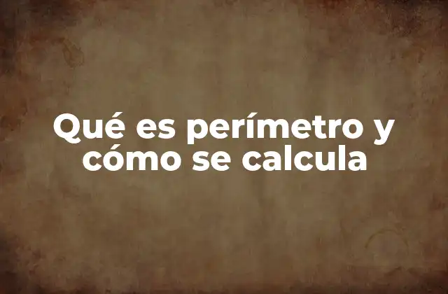 Qué es Perímetro y Cómo Se Calcula 2 Cómo se aplica el perímetro en la geometría plana