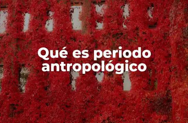 La evolución cultural durante el periodo antropológico