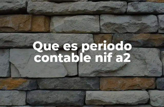 Que es Periodo Contable Nif A2