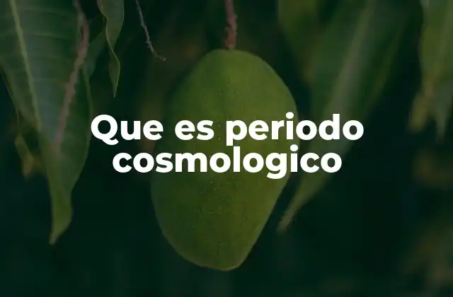 Que es Periodo Cosmologico