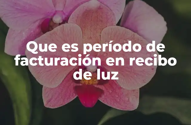Que es Período de Facturación en Recibo de Luz