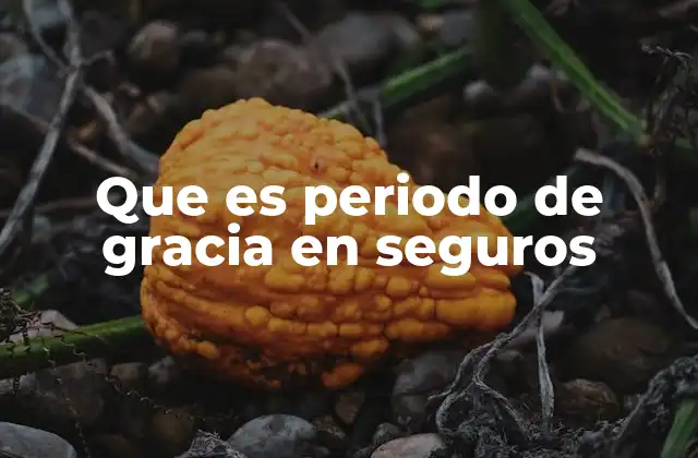 Que es Periodo de Gracia en Seguros