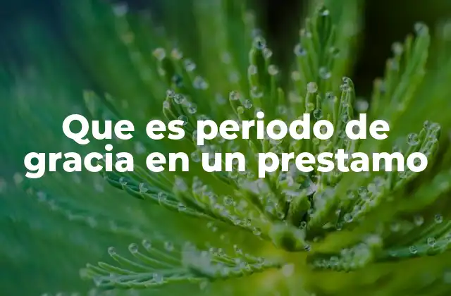Que es Periodo de Gracia en un Prestamo