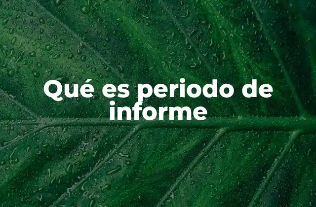 La importancia de establecer un periodo de informe claro