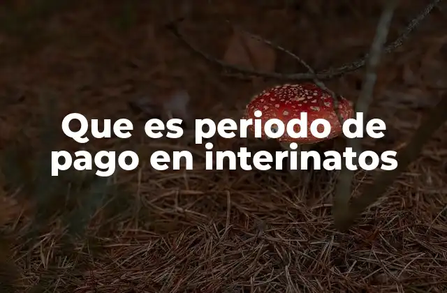 Que es Periodo de Pago en Interinatos