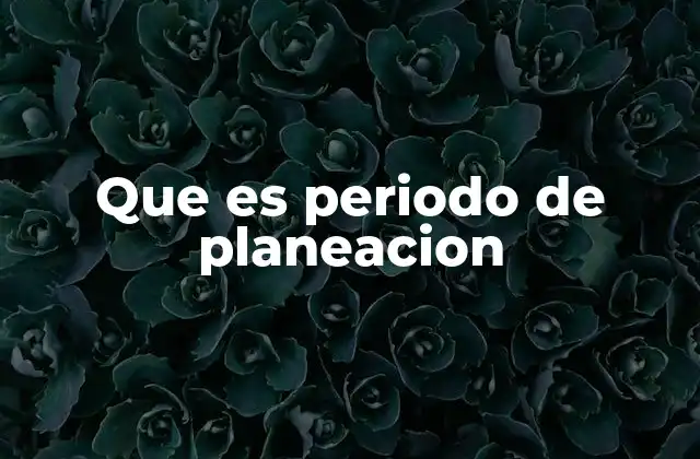 Que es Periodo de Planeacion